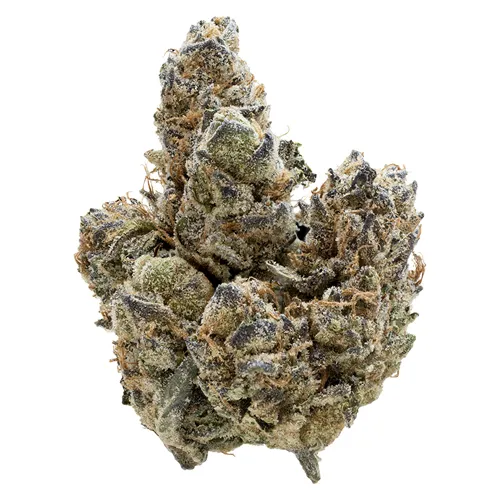 Product image of Florida Oranges - Nugz - Dried Flower