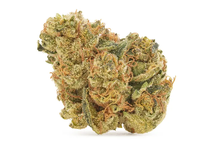 Product image of Frosted Rootbeer - Big Bag O' Buds - Dried Flower