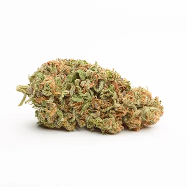 Product image of Bella Luna - Symbl - Dried Flower