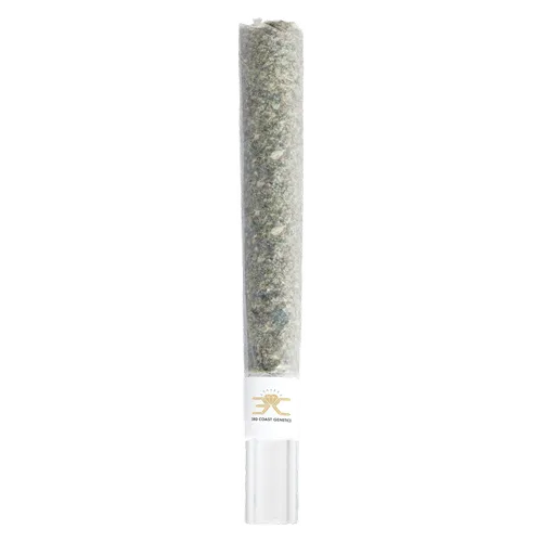 Black Cheese Glass Tip - 3rd Coast Genetics - Joints