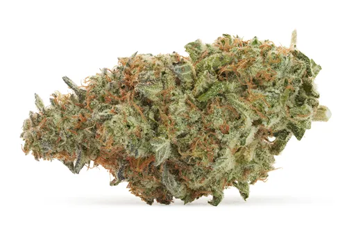 BC Organic Pink Drip - Simply Bare - Dried Flower