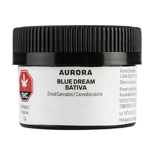 Blue Dream - Aurora - Dried Flower