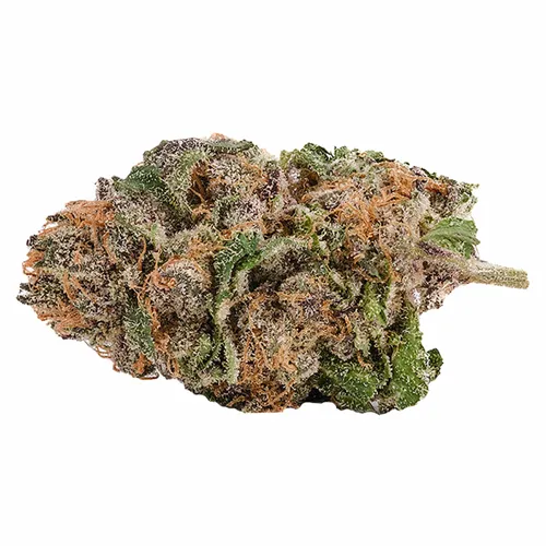 950 Series Khali Kush - Kolab Project - Dried Flower