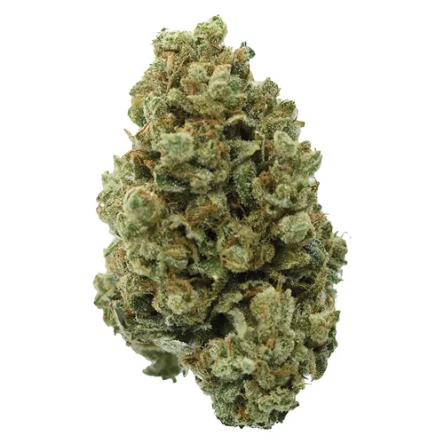 Product image of Pedro's Sweet Sativa - Color Cannabis - Dried Flower