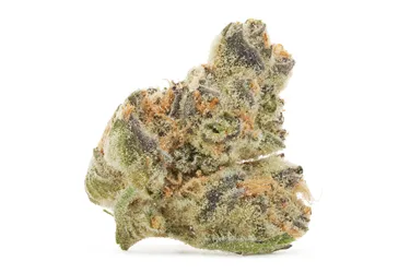 Product image of Blackberry Breath - Pistol and Paris - Dried Flower