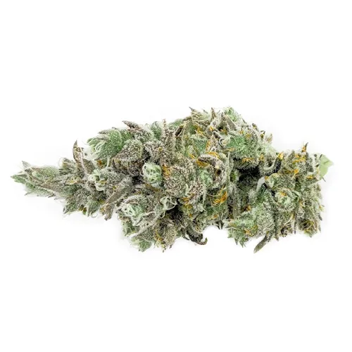 Product image of Apex - Msiku - Dried Flower