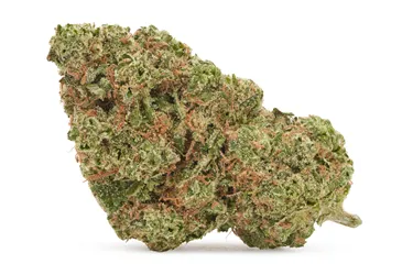 Product image of Northern Lights - Station House - Dried Flower