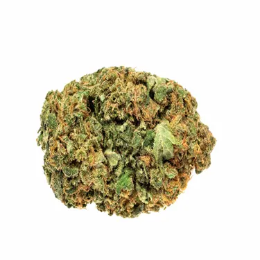 Product image of Free - Solei - Dried Flower