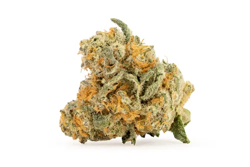 Product image of Dolce - Casa Di Fiore - Dried Flower