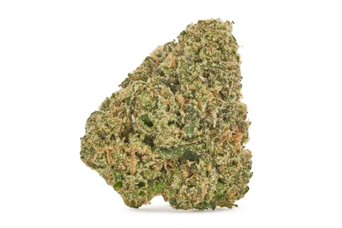 Turbulence - Amani Craft - Dried Flower