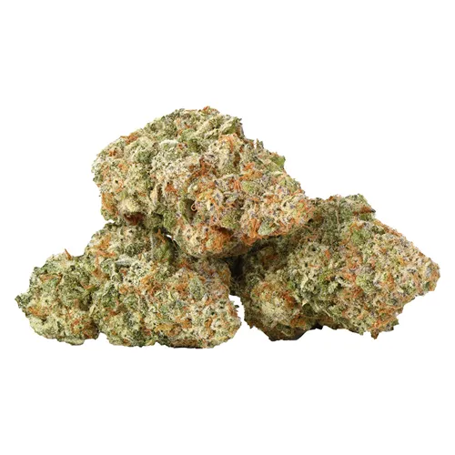 Jelly Breath - Ness - Dried Flower