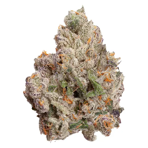 Product image of Cherry Bang Bang - FOUR54 - Dried Flower