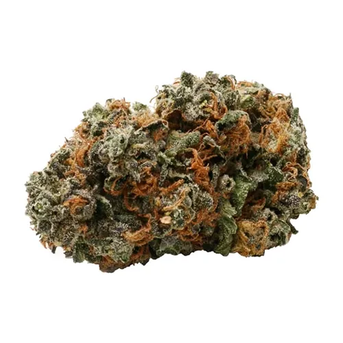 White Rhino - Pure SunFarms - Dried Flower