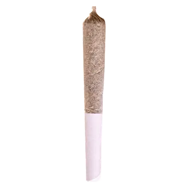 Product image of Mango Dream - Potluck - Joints