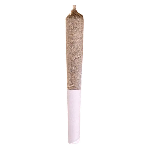 Product image of Mango Dream - Potluck - Joints