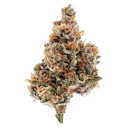 Raspberry Runtz - Potluck - Dried Flower