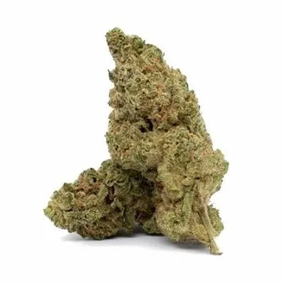 Product image of Durban Poison - Crooked Dory - Dried Flower