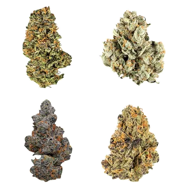 Product image of Canada Collection Variety Ounce - Potluck - Variety Flower