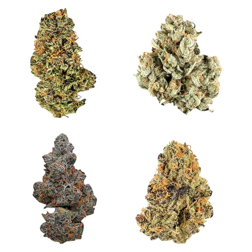 Canada Collection Variety Ounce - Potluck - Variety Flower