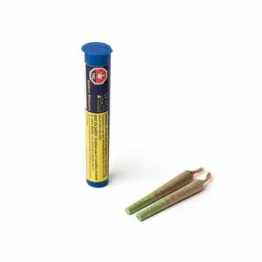 Product image of Galaxy Skippers - SPACE RACE CANNABIS - Joints - 2 x 0.4g