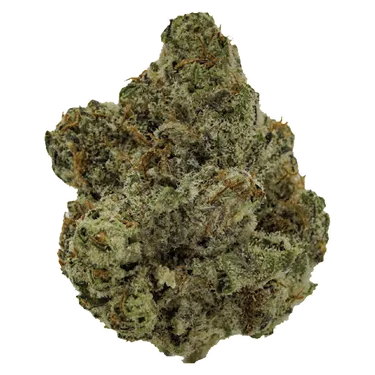 Product image of BC Craft Smalls - West Coast Craft - Dried Flower