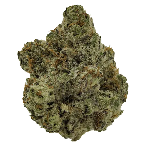 BC Craft Smalls - West Coast Craft - Dried Flower