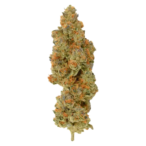 Product image of Facetz - Rocket Factory - Dried Flower