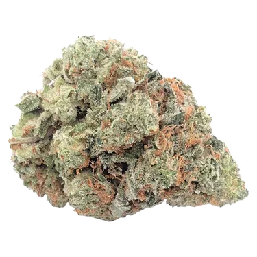 Product image of Mary-Go-Round - Dom Jackson - Dried Flower