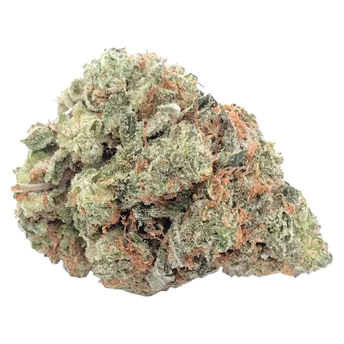 Product image of Mary-Go-Round - Dom Jackson - Dried Flower
