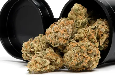 Product image of Wappa - Fireside - Dried Flower