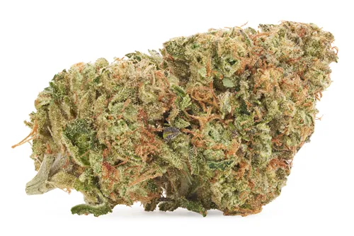 Product image of BC Organic Sunset Runtz - Simply Bare - Dried Flower