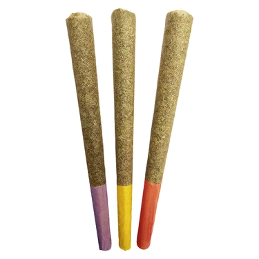 Product image of Gas Mask - Dom Jackson - Variety Pre-Rolled