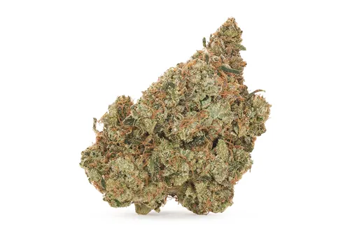 Munyunz - BOLD - Dried Flower