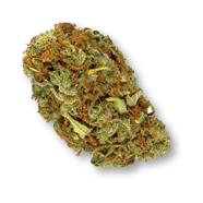 Product image of Shooting Star - Haven St. - Dried Flower - 1g