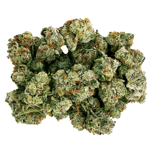 Product image of Frenchy Macaroni - Starting Point! - Dried Flower