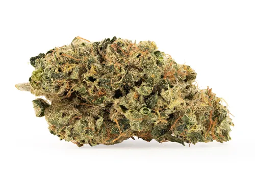Product image of BC Organic Cake'N'Bake - Coast Mountain Cannabis - Dried Flower