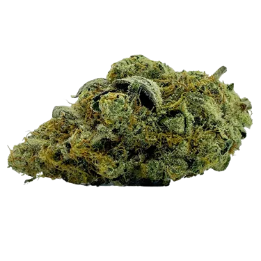 Product image of Black Mamba - Ritual Green - Dried Flower