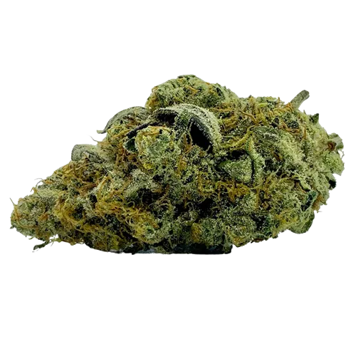 Product image of Black Mamba - Ritual Green - Dried Flower