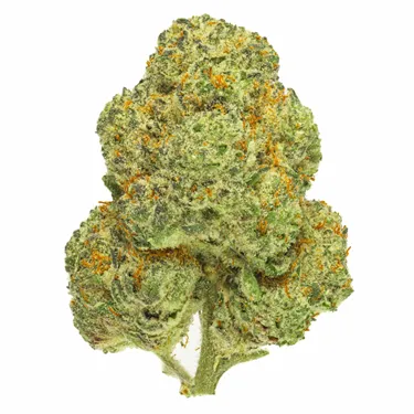 Product image of Chemango Kush - San Rafael '71 - Dried Flower