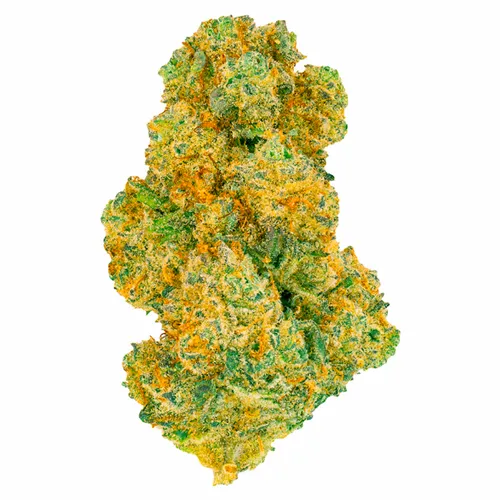 Black Jelly - San Rafael '71 - Dried Flower