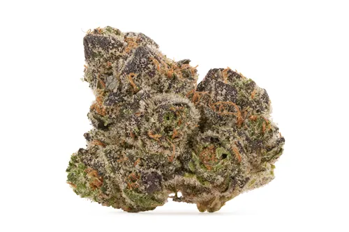 Product image of Forum Cut (GSC) - PureFire - Dried Flower