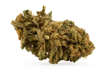 Product image of Miracle Alien Cookies #3 - Martindale Farms - Dried Flower