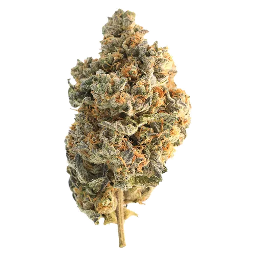 Product image of Hybrid Greatest Hits Vol. 1 - Encore - Dried Flower