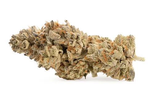 Product image of Stash Jar Rainbow Inferno - West Coast Weedery - Dried Flower