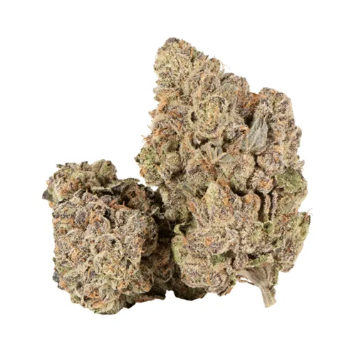 Product image of Purple Octane - Kief Cannabis Co. - Dried Flower