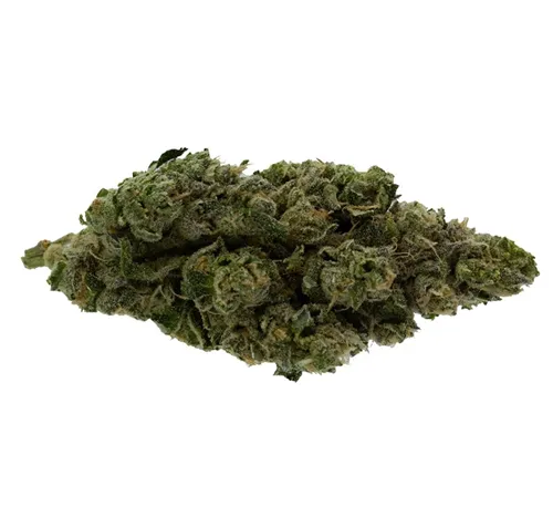 Product image of BC Thunder - Thunder Spirit - Dried Flower