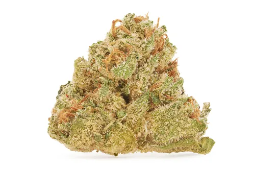 Product image of Sticky Wasabi Smalls - BC Smalls - Dried Flower