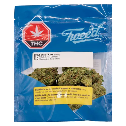 Citrus Candy Cake - Tweed - Dried Flower