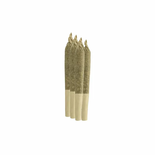 Trop Juice - Sheeesh! - Joints