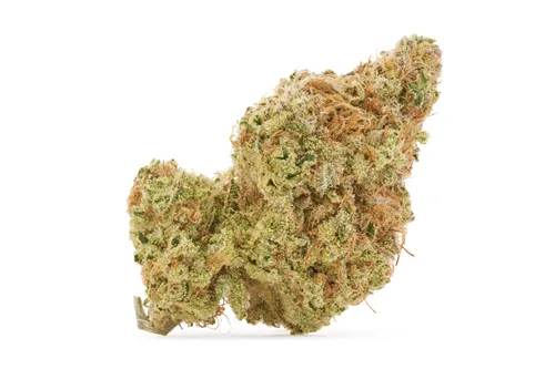 Super Sativa - Tenzo - Dried Flower
